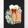 Anatomie dentaire II - Floral - Noir