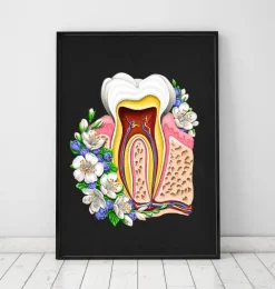 Anatomie dentaire II - Floral - Noir