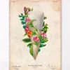 Anatomie dentaire III - Floral - Vintage
