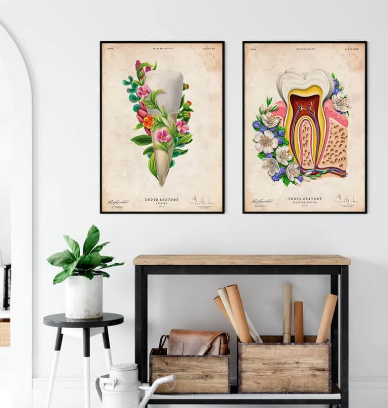 Anatomie dentaire III - Floral - Vintage