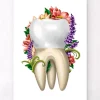 Anatomie dentaire IV - Floral - Blanc