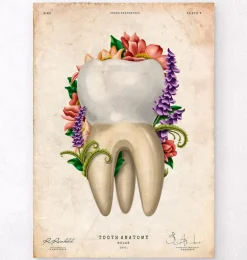 Anatomie dentaire IV - Floral - Vintage