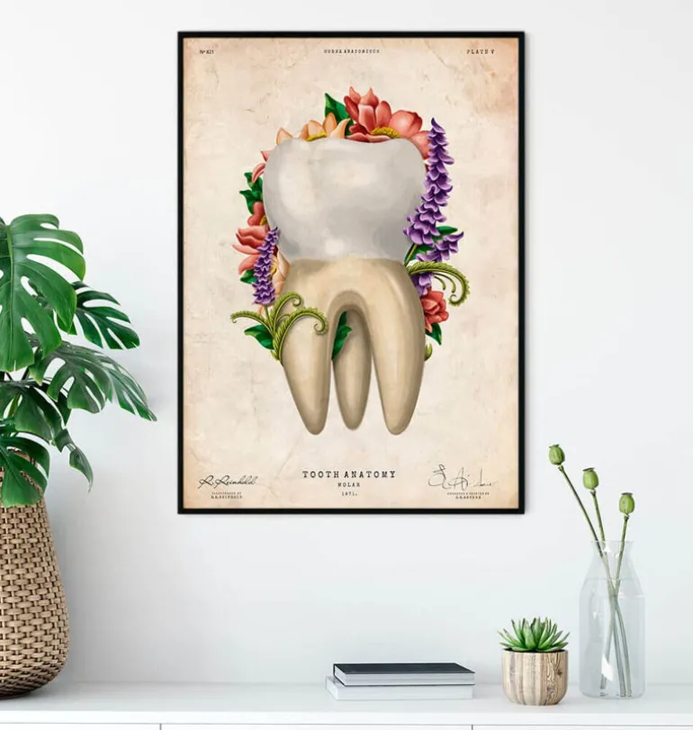 Anatomie dentaire IV - Floral - Vintage
