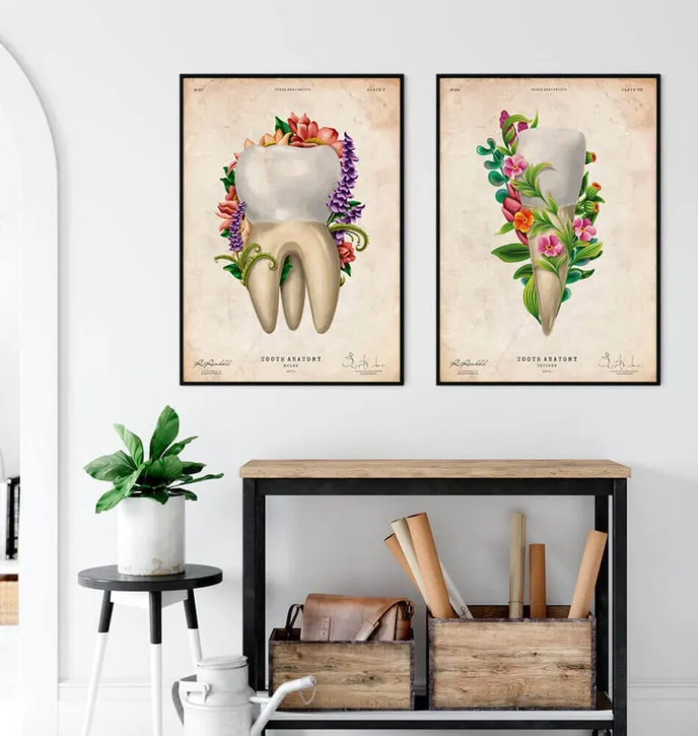 Anatomie dentaire IV - Floral - Vintage