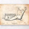 Anatomie des dents et de la mâchoire