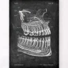 Anatomie des dents et des mâchoires - Chalkboard