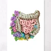 Anatomie des intestins - Floral - Blanc