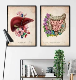 Anatomie des intestins - Floral - Vieux Papier