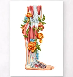 Anatomie des jambes - Floral - Blanc