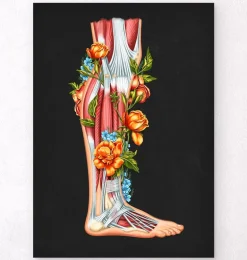 Anatomie des jambes - Floral - Noir