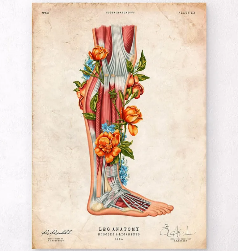 Anatomie des jambes - Floral - Vintage