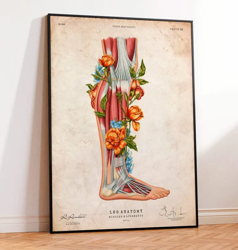 Anatomie des jambes - Floral - Vintage