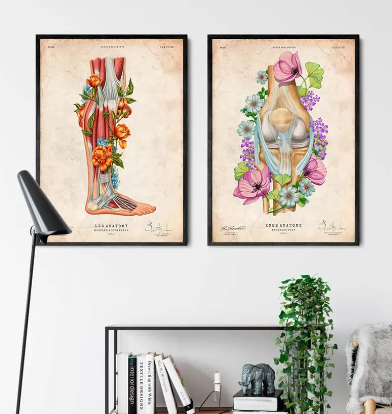 Anatomie des jambes - Floral - Vintage