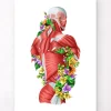 Anatomie des muscles - Floral - Blanc