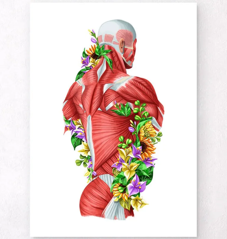 Anatomie des muscles - Floral - Blanc