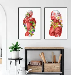 Anatomie des muscles - Floral - Blanc
