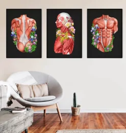 Anatomie des muscles - Floral - Noir