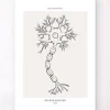 Anatomie des neurones - Line Art