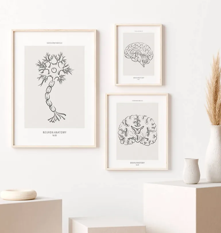 Anatomie des neurones - Line Art