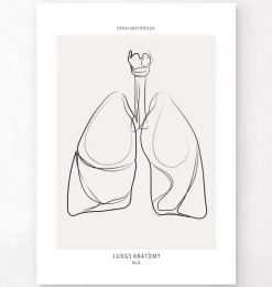 Anatomie des poumons - Line Art