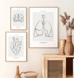 Anatomie des poumons - Line Art