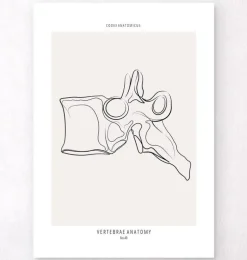 Anatomie des vertèbres - Line Art