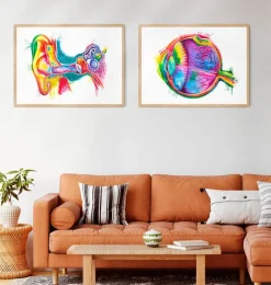 Anatomie des yeux - Aquarelle