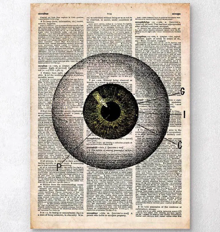 Anatomie des yeux - Dictionnaire