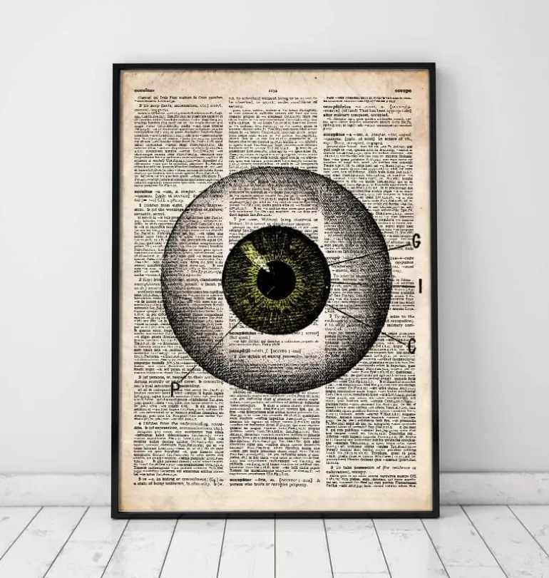 Anatomie des yeux - Dictionnaire
