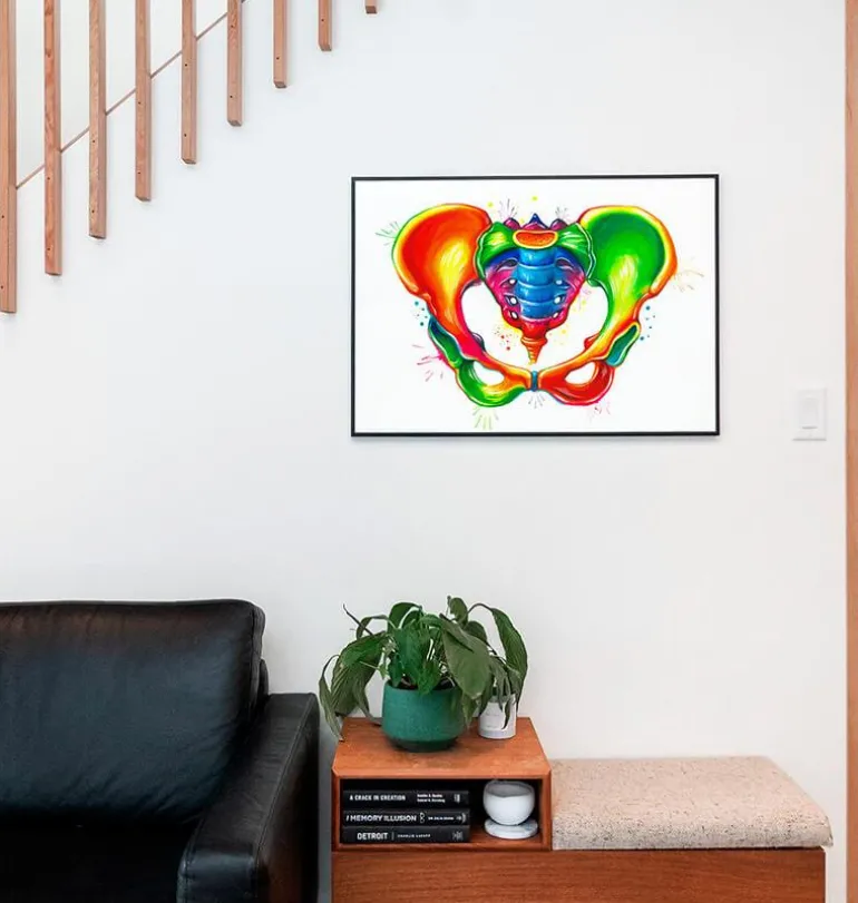 Anatomie du bassin - Aquarelle