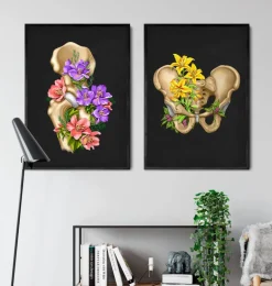 Anatomie du bassin - Floral - Noir
