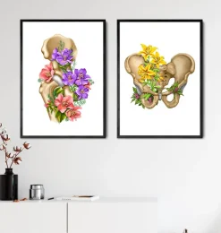 Anatomie du bassin - Floral - Blanc