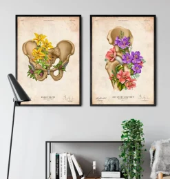 Anatomie du bassin - Floral - Vintage