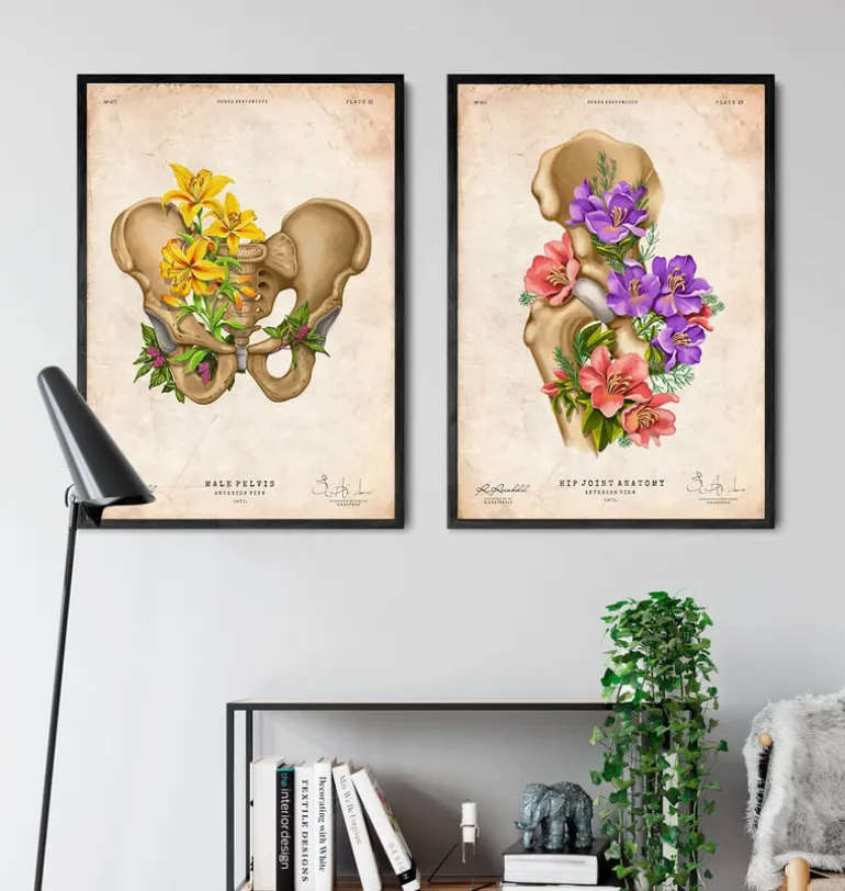 Anatomie du bassin - Floral - Vintage