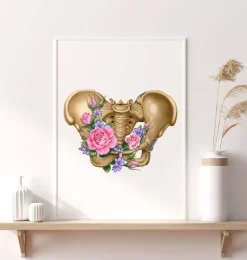Anatomie du bassin féminin - Floral - Blanc