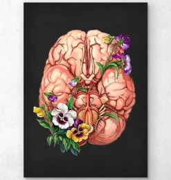 Anatomie du cerveau - Floral - Noir