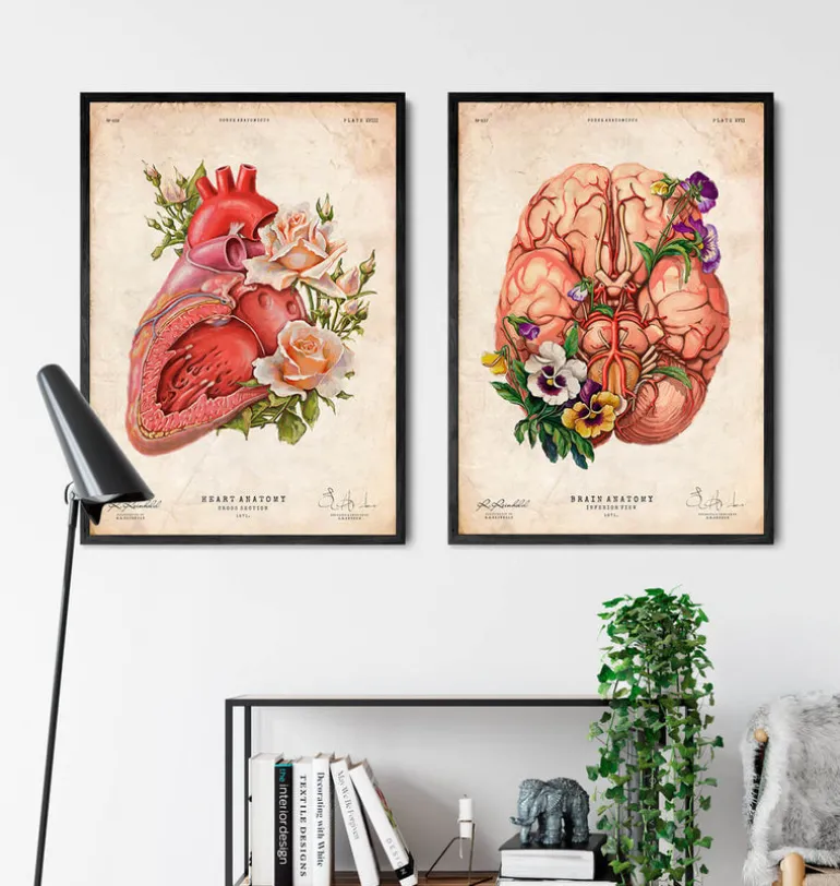 Anatomie du cerveau - Floral - Vieux papier