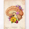 Anatomie du cerveau II - Floral - Vieux papier