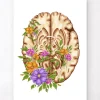 Anatomie du cerveau III - Floral - Blanc
