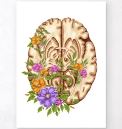 Anatomie du cerveau III - Floral - Blanc