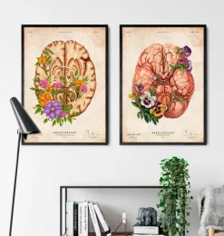 Anatomie du cerveau III - Floral - Vintage