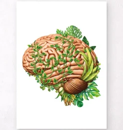 Anatomie du cerveau IV - Floral - Vintage