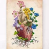 Anatomie du coeur floral I - Vieux papiers