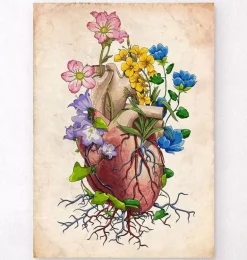 Anatomie du coeur floral I - Vieux papiers