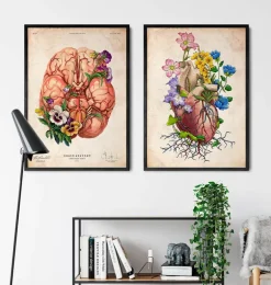 Anatomie du coeur floral I - Vieux papiers