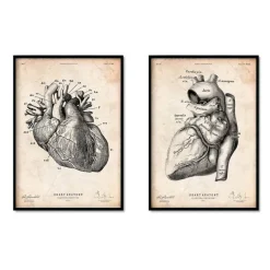 Anatomie du coeur vintage - Lot de 5