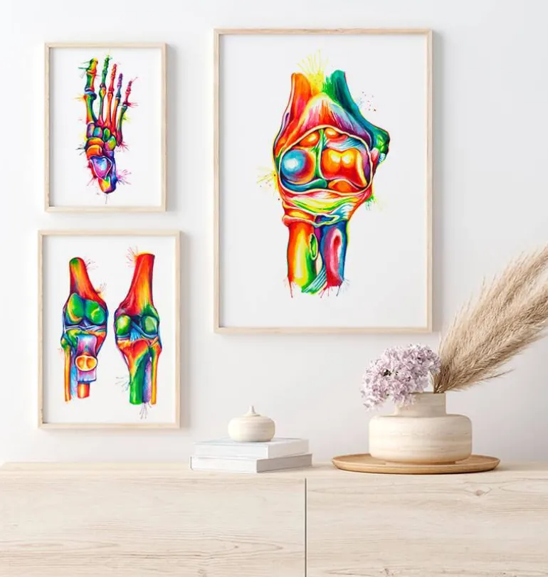 Anatomie du coude - Aquarelle