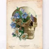 Anatomie du crâne - Floral - Vieux papier