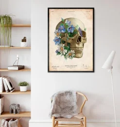 Anatomie du crâne - Floral - Vieux papier