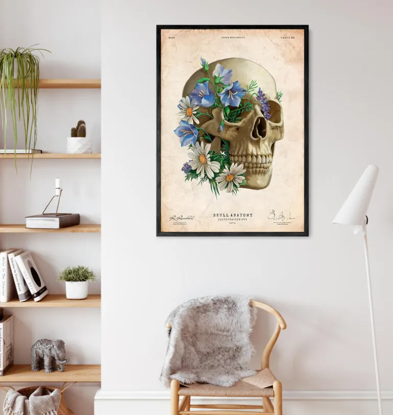 Anatomie du crâne - Floral - Vieux papier